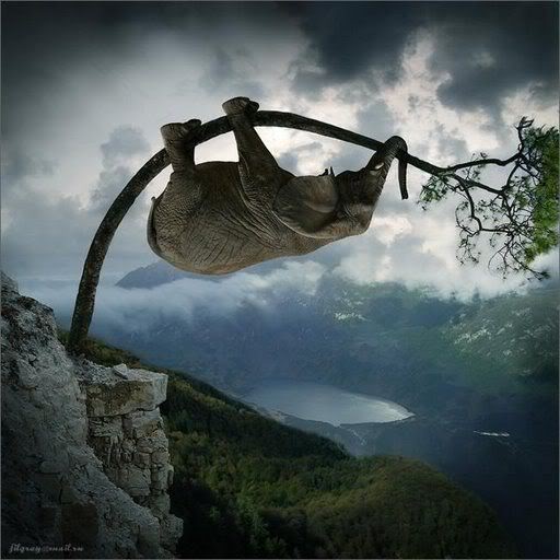 Creative Pictures to Give You A Change