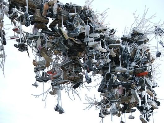 Unusual Shoe Tree in America